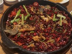 -老板恋上鱼(恒隆广场店)