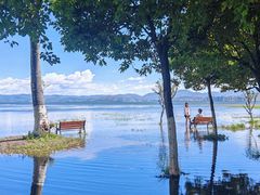 -洱海月湿地公园