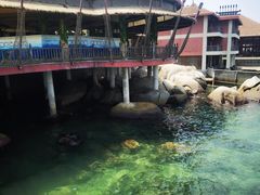 -海南分界洲岛旅游区