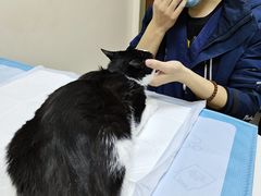 -美联众合动物医院·24h转诊中心