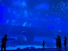 -南昌融创海世界