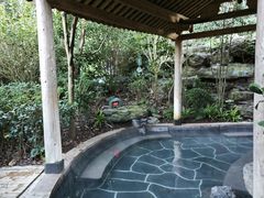 -腾冲洞山温泉村