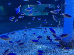 -海合安成都极地海洋公园