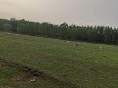 -山西乌金山旅游区