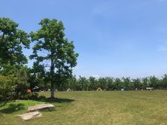 -上海海湾国家森林公园