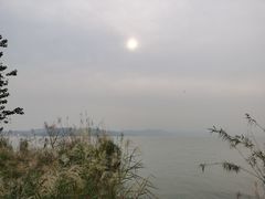 -上海市保健医疗中心