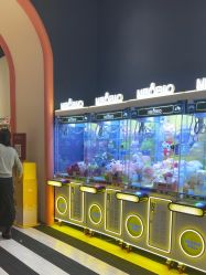 -奈尔宝家庭中心·亲子餐厅(宝安店)