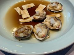 -子福慧(虹桥店)