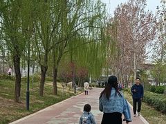 -西吴河科普公园
