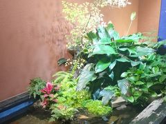 -隐炉和牛烧肉店(群力店)