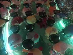 -堂会·KTV·自助餐·团建聚会(天河店)