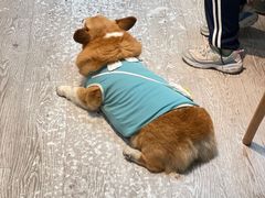 -小时光咖啡馆(北锣鼓巷店)