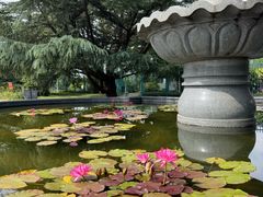 -国家植物园南园