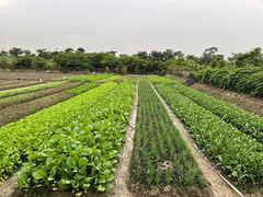 -新塘水果乐园(东洲大道店)