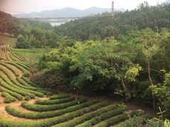 iphone_upload_pic-东部华侨城