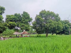 -蜀绣公园