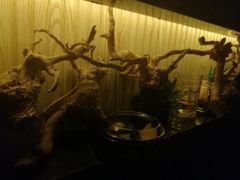 -大桶大足浴(广灵店)