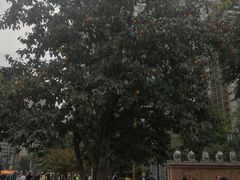 -唐城墙遗址公园