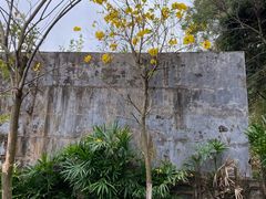 -火炉山森林公园
