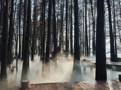 -东湖落雁景区