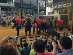 -东芭乐园