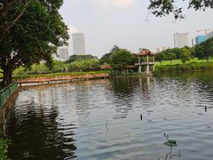 -深圳龙潭公园
