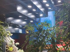 -唐河王记·南阳民间菜(国基路店)