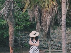 -仙海旅游度假区