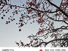 -长洲岛