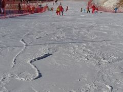 -八达岭滑雪场