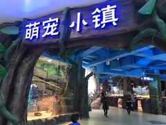 -台州海洋世界
