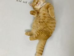 -网易（杭州）网络有限公司