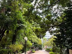 -九龙公园