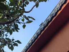 -天津市峰山药王古寺