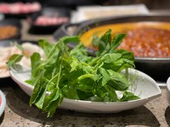 -园里火锅(仁和新城店)