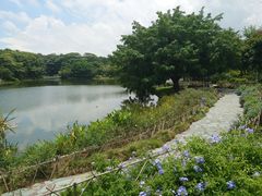 -东莞植物园