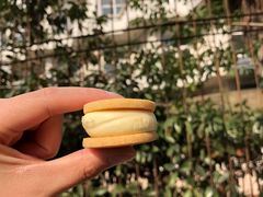 乳酪饼-甜嘟嘟烘焙坊(舒城路店)