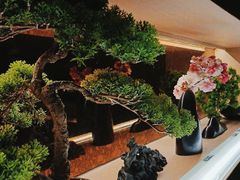 -湊湊火锅·茶憩(石家庄万象城店)