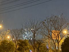 -大塘金香草谷