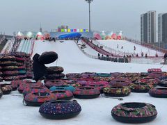 -沈阳奥体冰雪嘉年华