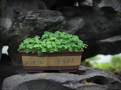 -檀园