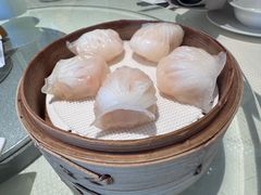 -金苑海鲜酒家(来魅力店)