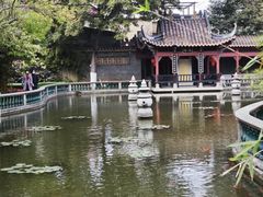 -碧江金楼