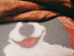 -极光点播影院·Switch.游戏馆(世界之窗店)