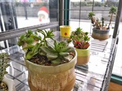 大堂-赛百味(仙林金鹰店)