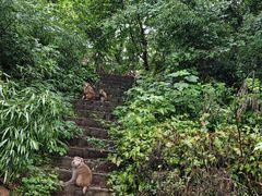 -句容茅山景区