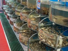 水产区-仙螺岛海鲜自助餐厅(总店)