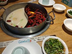 -青瓷火锅料理(西单大悦城店)