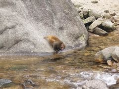-姑婆山旅游区