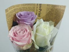 -Flower in(密渡桥店)